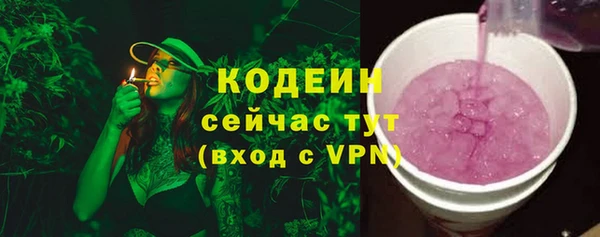 ГАЛЛЮЦИНОГЕННЫЕ ГРИБЫ Горно-Алтайск