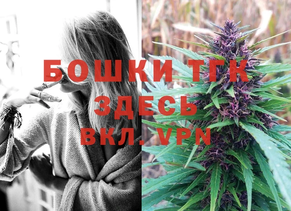 ГАЛЛЮЦИНОГЕННЫЕ ГРИБЫ Горно-Алтайск