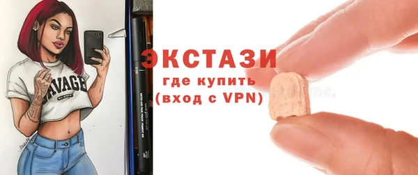 стафф Гусев