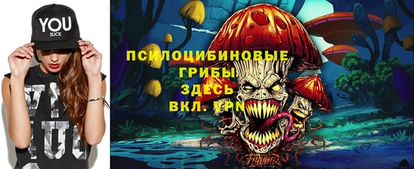 герыч Дмитриев
