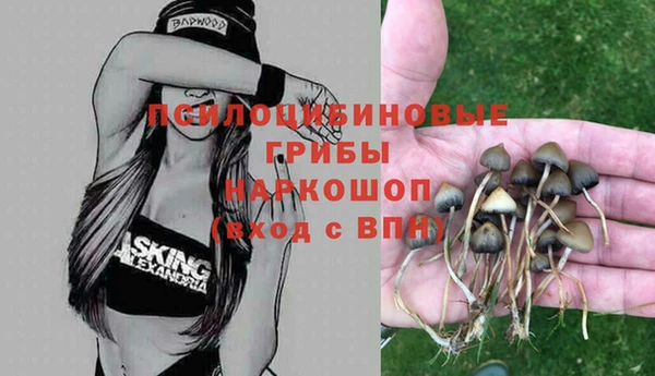стафф Гусев